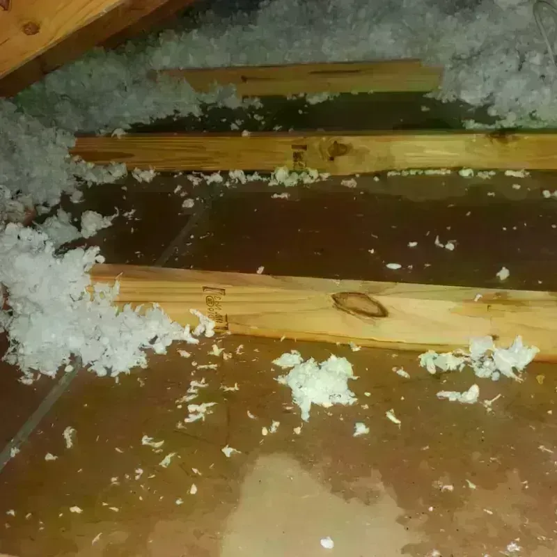 Attic Water Damage in Huxley, IA